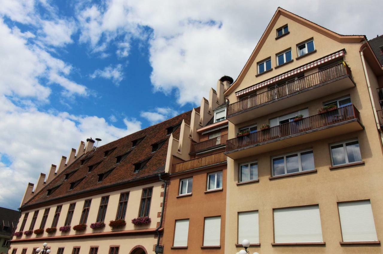 Ferienwohnung Grenier Des Cigognes Sélestat Exterior foto
